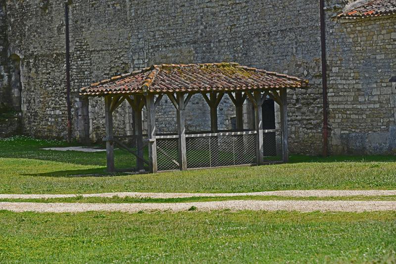 min 2025 06 08 Marais Poitevin 175
